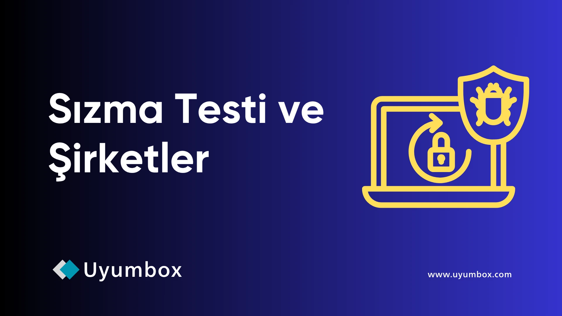 Sızma Testi Yaptırmak Şirketler İçin Zorunluluk Mudur?